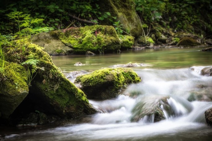 Codrii, la foresta sacra della Moldova