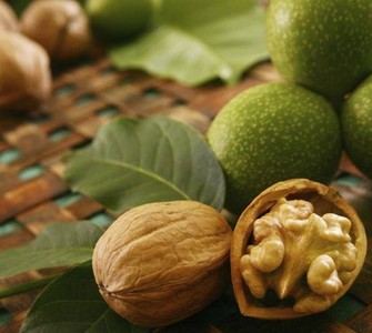 Noci: in Moldova il più grande frutteto d’Europa