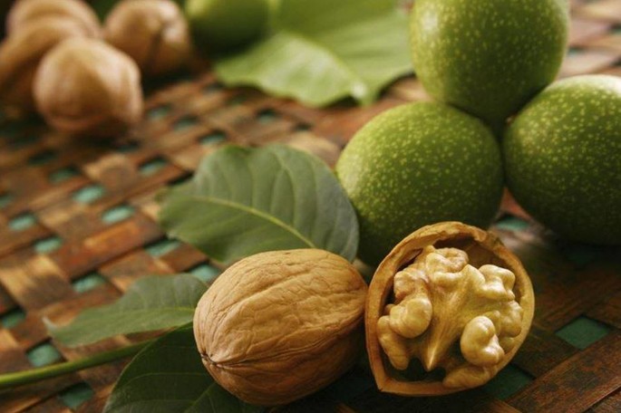 Noci: in Moldova il più grande frutteto d’Europa