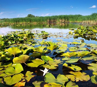Il Parco Nazionale “Lacurile Prutului de Jos”